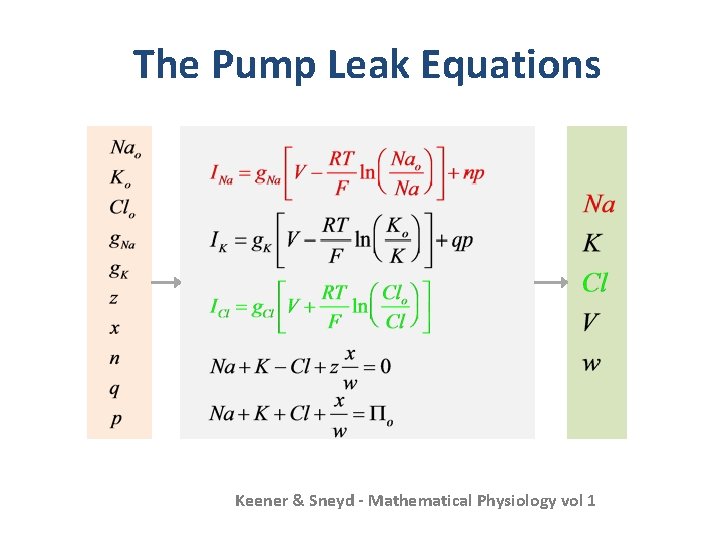 The Pump Leak Equations Keener & Sneyd - Mathematical Physiology vol 1 