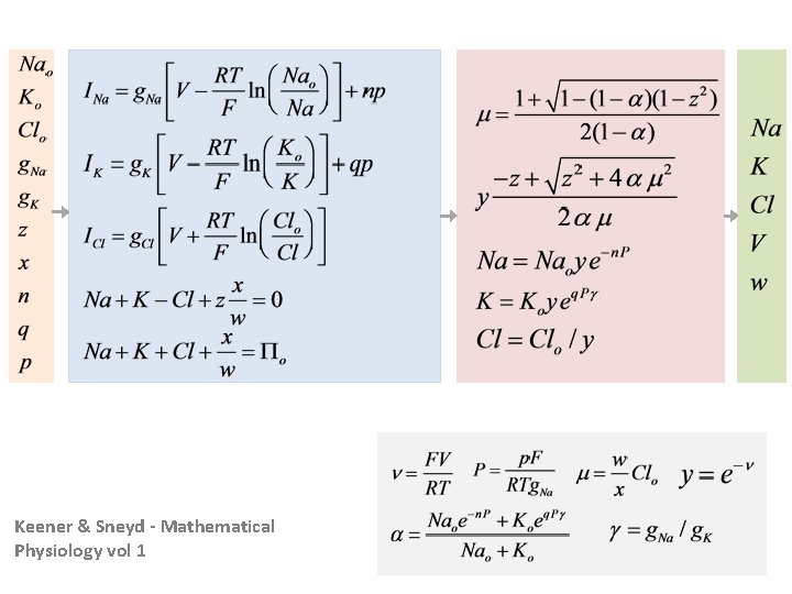 Keener & Sneyd - Mathematical Physiology vol 1 