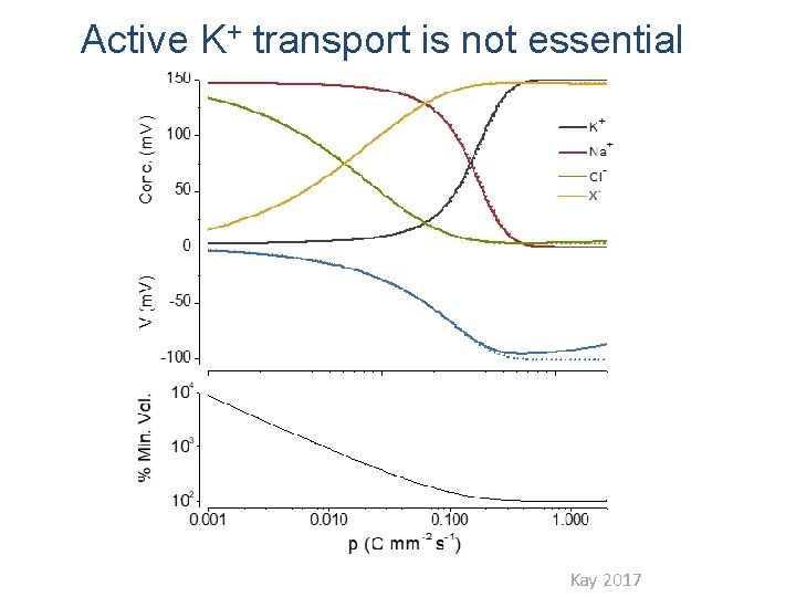 Active K+ transport is not essential Kay 2017 