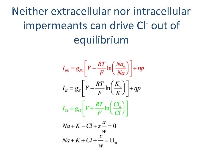 Neither extracellular nor intracellular impermeants can drive Cl- out of equilibrium 