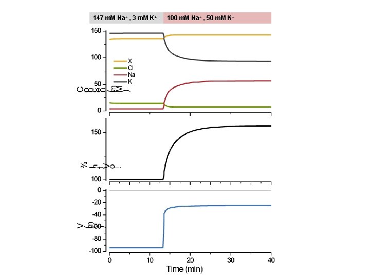 147 m. M Na+ , 3 m. M K+ 100 m. M Na+ ,