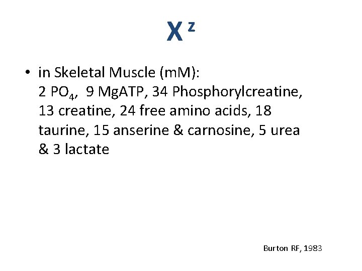 z X • in Skeletal Muscle (m. M): 2 PO 4, 9 Mg. ATP,