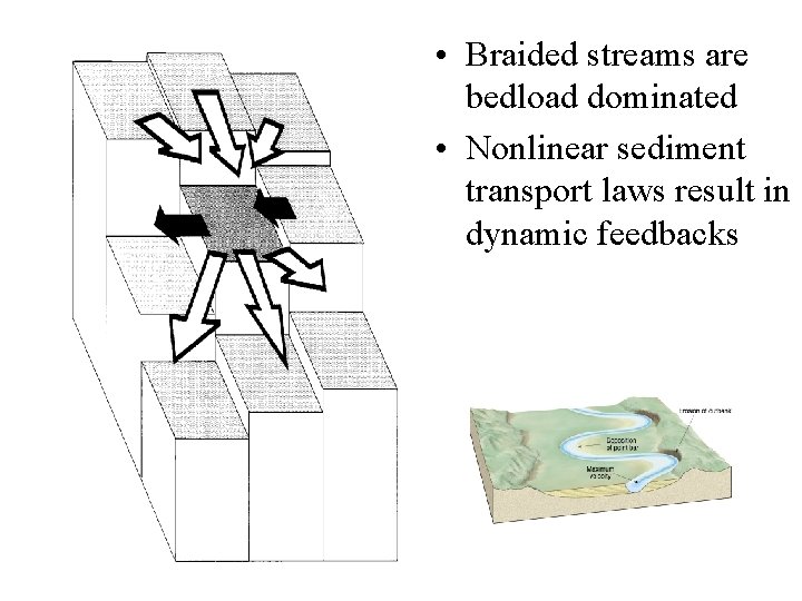 • Braided streams are bedload dominated • Nonlinear sediment transport laws result in • Braided streams are bedload dominated • Nonlinear sediment transport laws result in