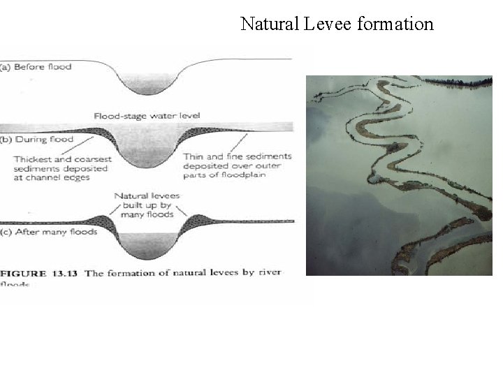Natural Levee formation 