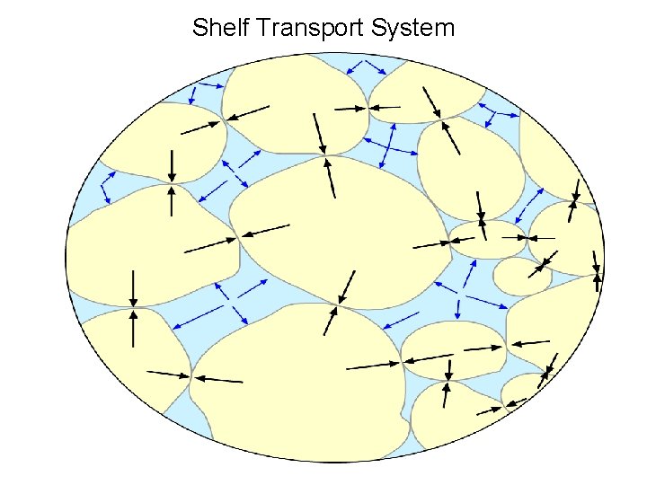 Shelf Transport System 