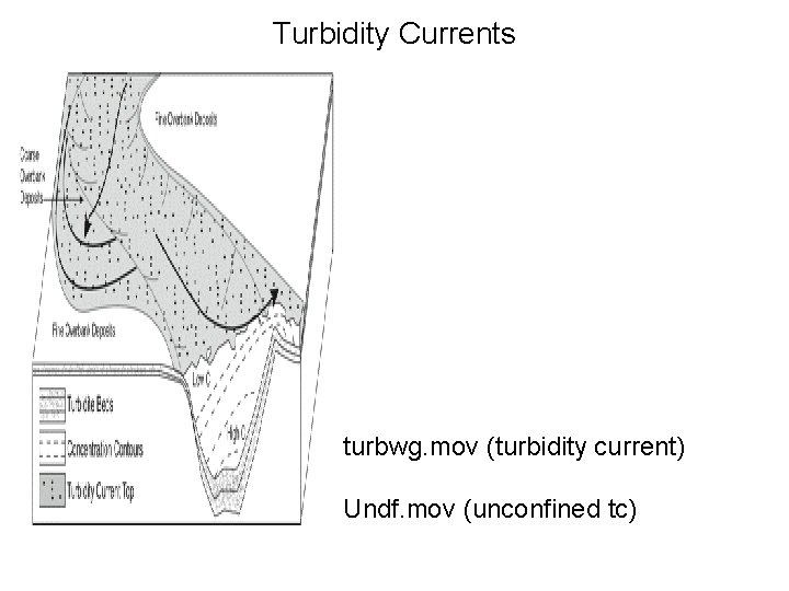 Turbidity Currents turbwg. mov (turbidity current) Undf. mov (unconfined tc) Turbidity Currents turbwg. mov (turbidity current) Undf. mov (unconfined tc)