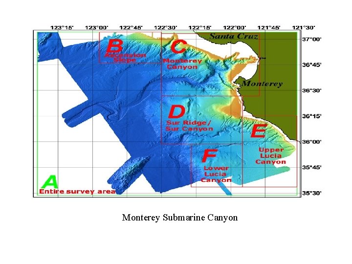 Monterey Submarine Canyon 