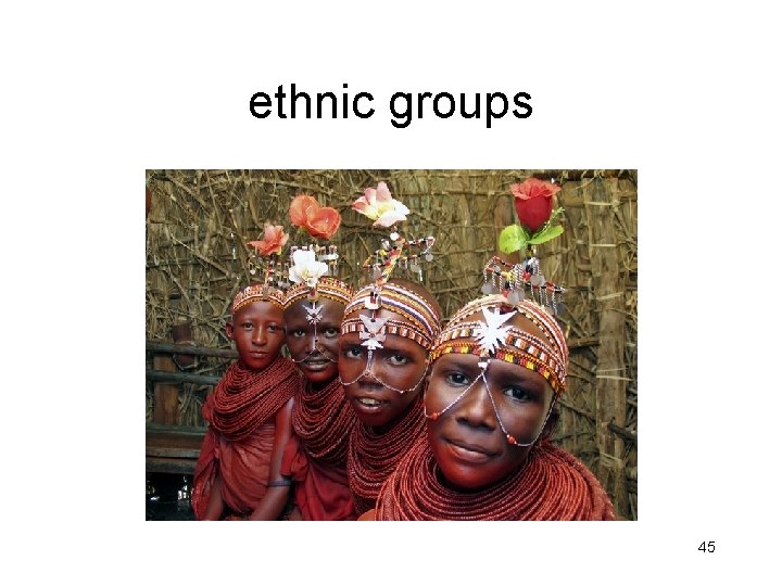 ethnic groups 45 