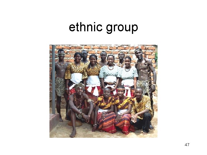 ethnic group 47 