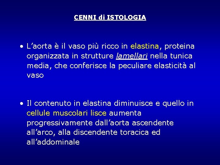 CENNI di ISTOLOGIA • L’aorta è il vaso più ricco in elastina, proteina organizzata CENNI di ISTOLOGIA • L’aorta è il vaso più ricco in elastina, proteina organizzata