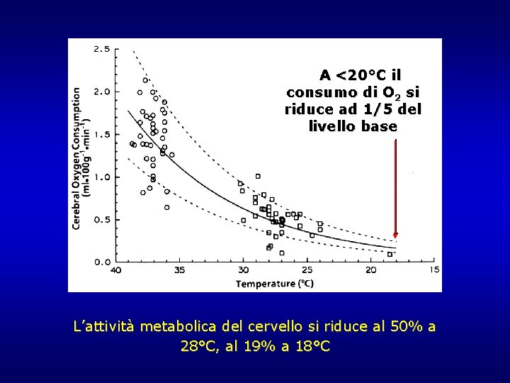A <20°C il consumo di O 2 si riduce ad 1/5 del livello base A <20°C il consumo di O 2 si riduce ad 1/5 del livello base