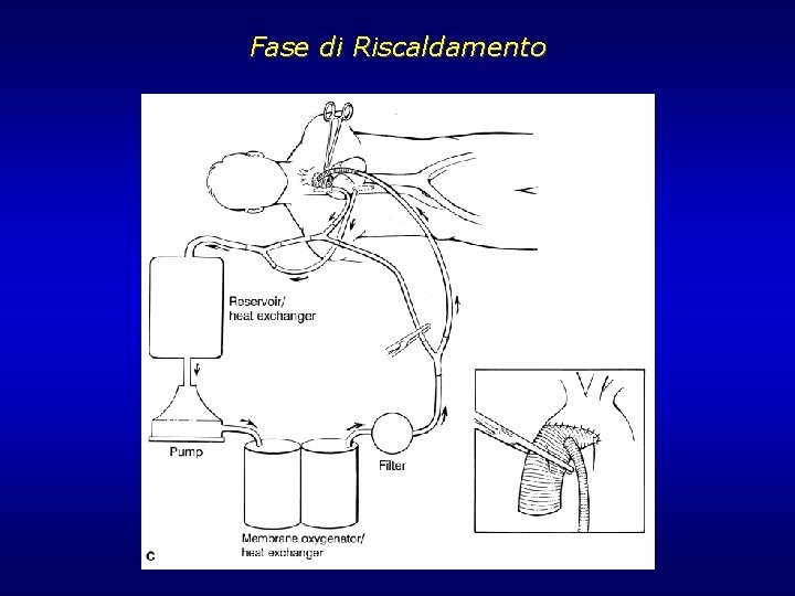 Fase di Riscaldamento Fase di Riscaldamento