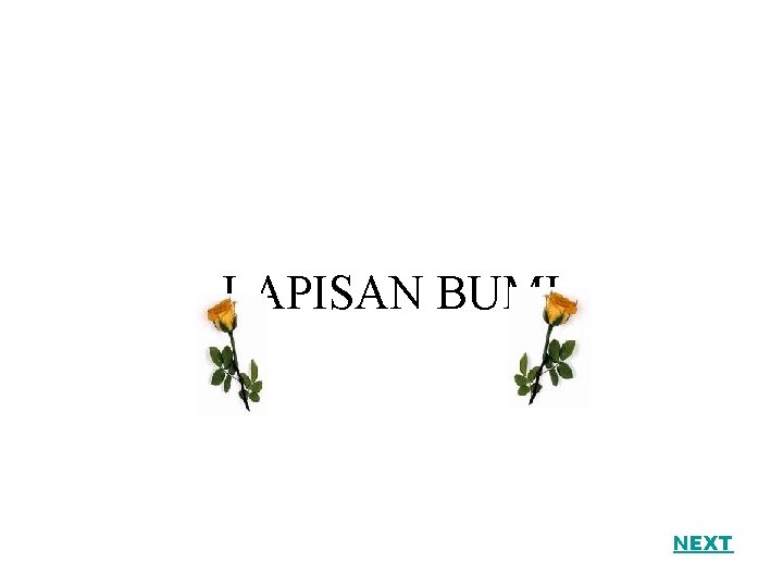 LAPISAN BUMI NEXT 