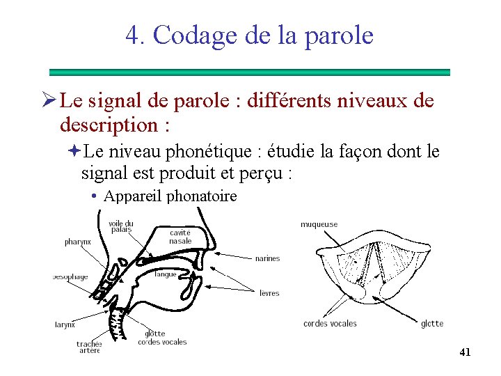 4. Codage de la parole Ø Le signal de parole : différents niveaux de