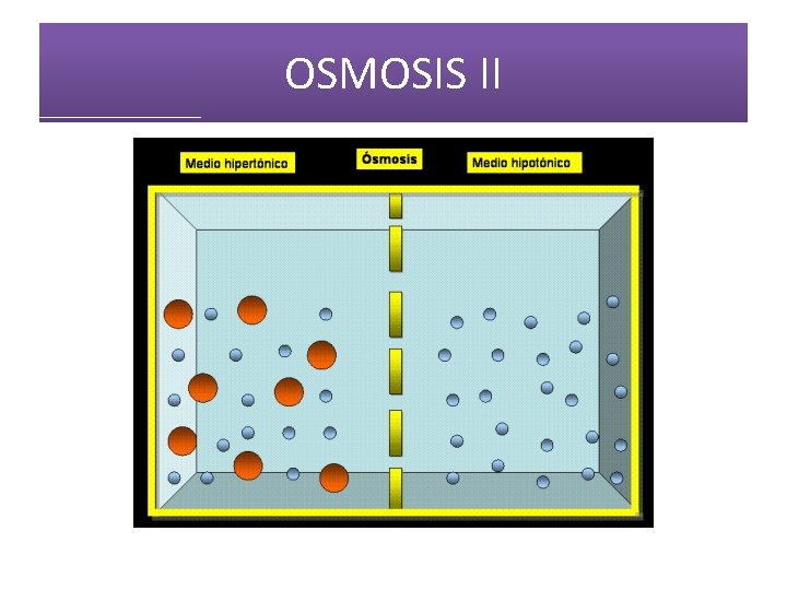 OSMOSIS II 