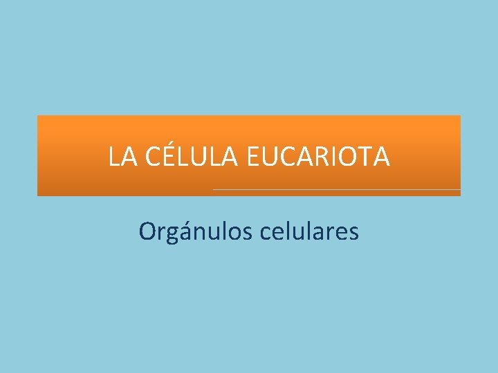 LA CÉLULA EUCARIOTA Orgánulos celulares 