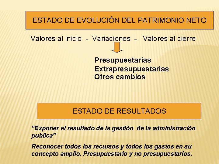 ESTADO DE EVOLUCIÓN DEL PATRIMONIO NETO Valores al inicio - Variaciones - Valores al