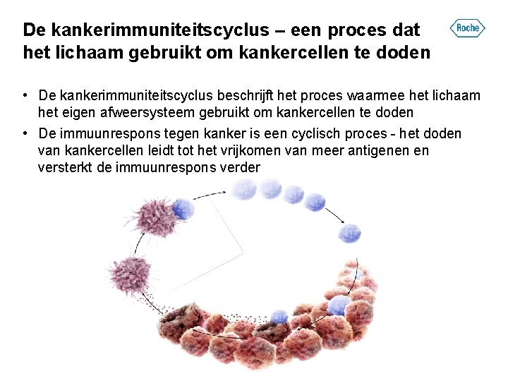 De kankerimmuniteitscyclus – een proces dat het lichaam gebruikt om kankercellen te doden •