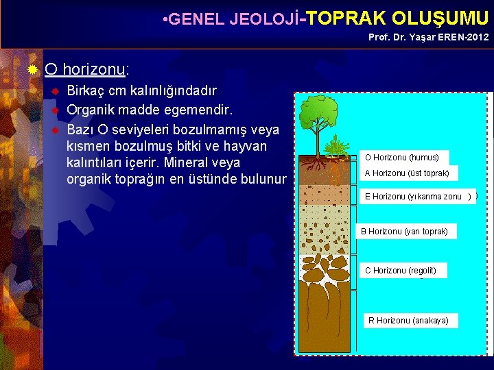  • GENEL JEOLOJİ-TOPRAK OLUŞUMU Prof. Dr. Yaşar EREN-2012 ® O horizonu: ® ®