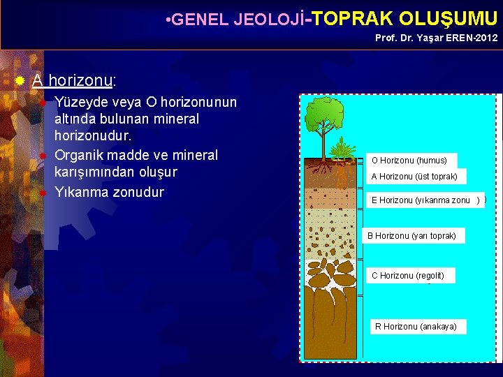  • GENEL JEOLOJİ-TOPRAK OLUŞUMU Prof. Dr. Yaşar EREN-2012 ® A horizonu: ® ®