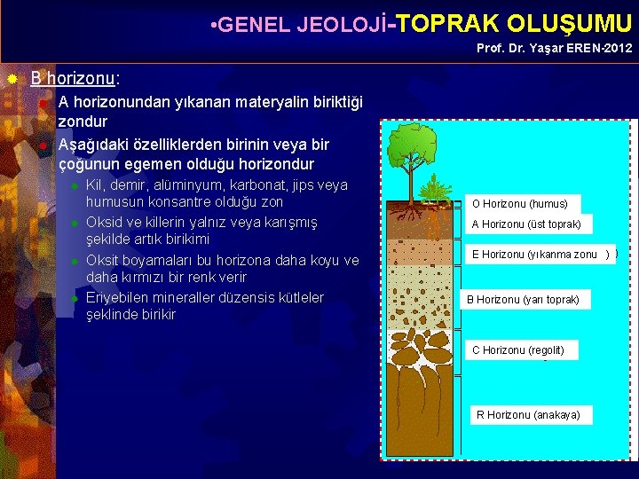  • GENEL JEOLOJİ-TOPRAK OLUŞUMU Prof. Dr. Yaşar EREN-2012 ® B horizonu: ® ®