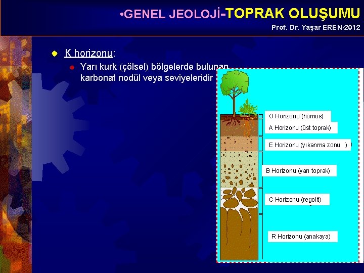  • GENEL JEOLOJİ-TOPRAK OLUŞUMU Prof. Dr. Yaşar EREN-2012 ® K horizonu: ® Yarı