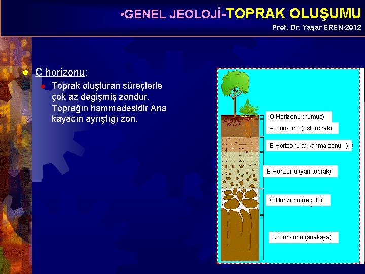  • GENEL JEOLOJİ-TOPRAK OLUŞUMU Prof. Dr. Yaşar EREN-2012 ® C horizonu: ® Toprak