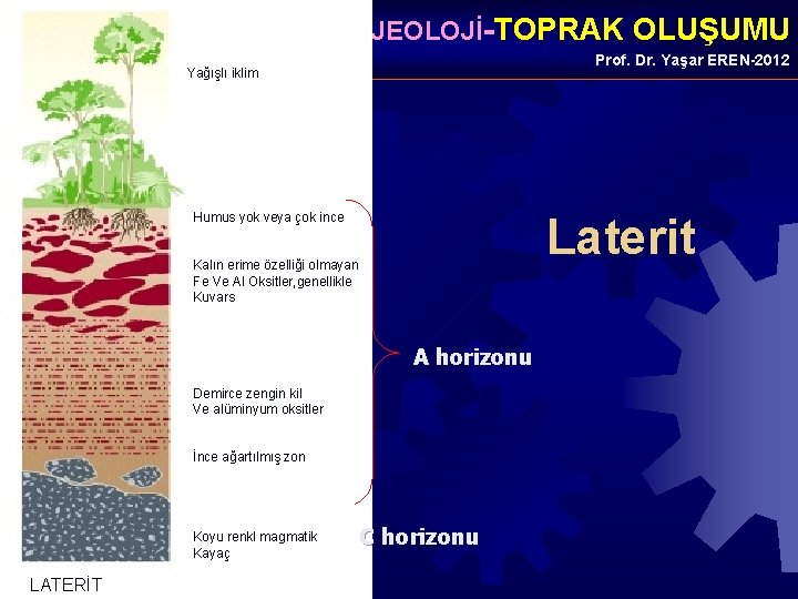  • GENEL JEOLOJİ-TOPRAK OLUŞUMU Prof. Dr. Yaşar EREN-2012 Yağışlı iklim Humus yok veya