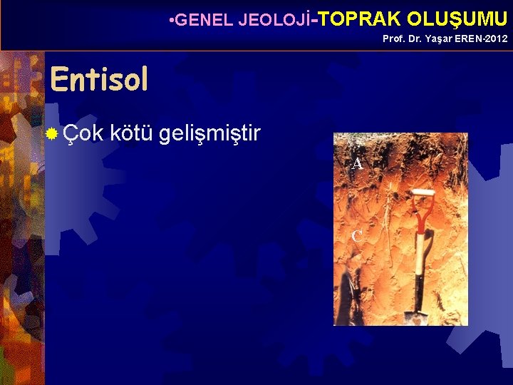  • GENEL JEOLOJİ-TOPRAK OLUŞUMU Prof. Dr. Yaşar EREN-2012 Entisol ® Çok kötü gelişmiştir