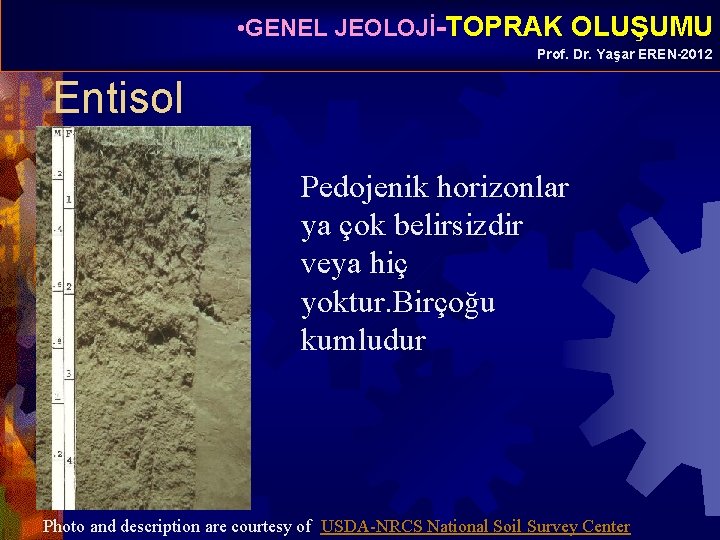  • GENEL JEOLOJİ-TOPRAK OLUŞUMU Prof. Dr. Yaşar EREN-2012 Entisol Pedojenik horizonlar ya çok