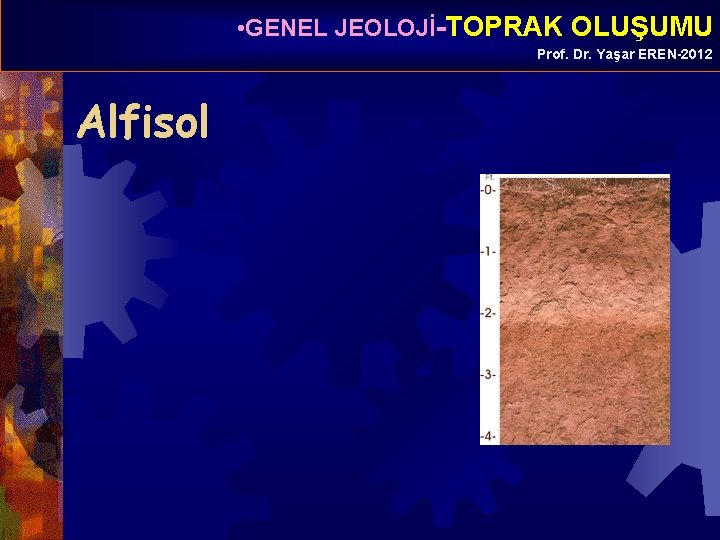  • GENEL JEOLOJİ-TOPRAK OLUŞUMU Prof. Dr. Yaşar EREN-2012 Alfisol 