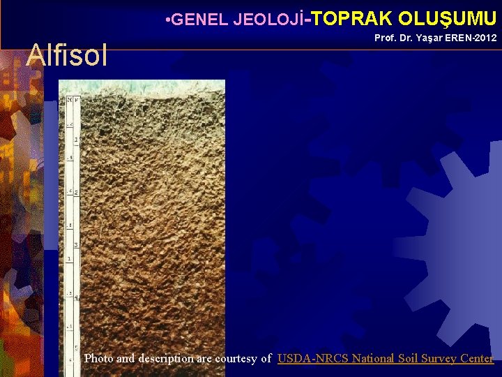  • GENEL JEOLOJİ-TOPRAK OLUŞUMU Alfisol Prof. Dr. Yaşar EREN-2012 Photo and description are