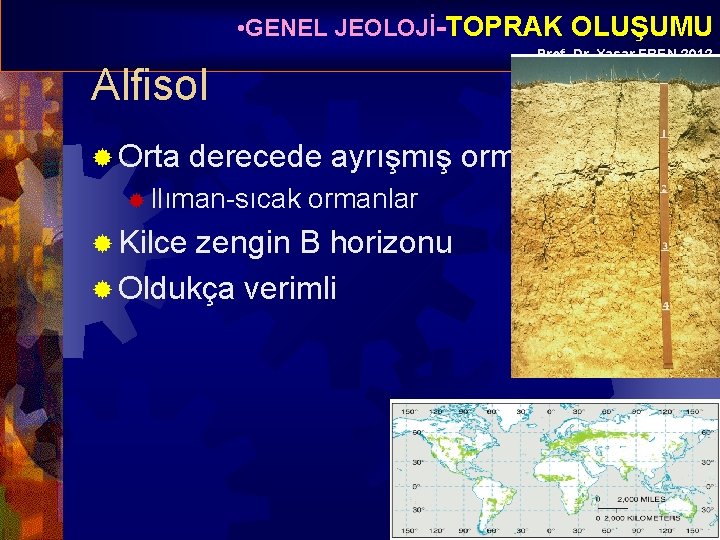  • GENEL JEOLOJİ-TOPRAK OLUŞUMU Prof. Dr. Yaşar EREN-2012 Alfisol ® Orta derecede ayrışmış