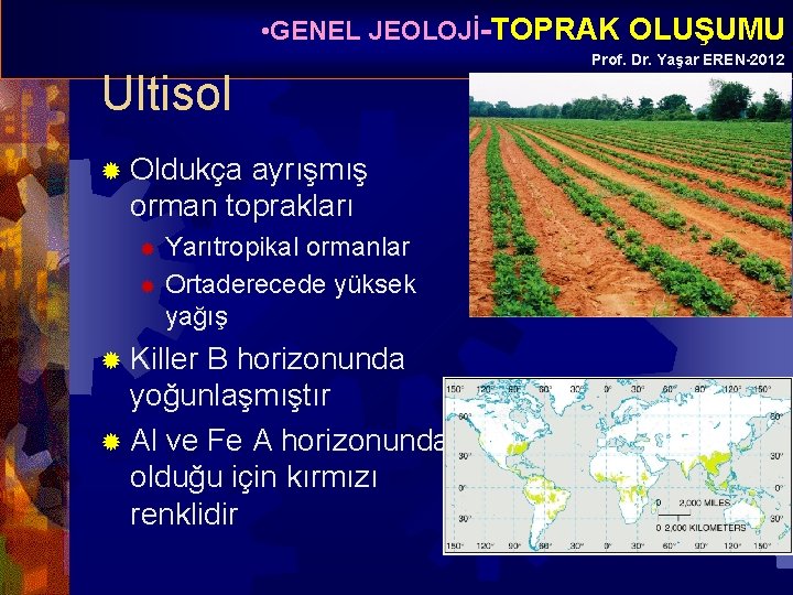  • GENEL JEOLOJİ-TOPRAK OLUŞUMU Ultisol ® Oldukça ayrışmış orman toprakları Yarıtropikal ormanlar ®