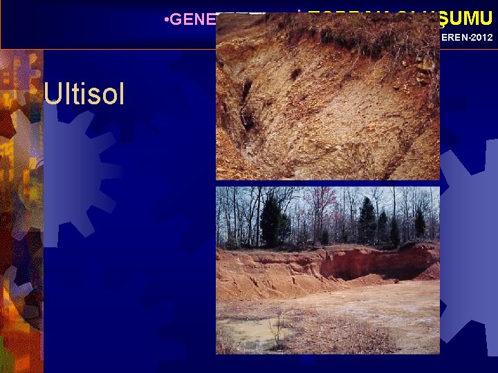  • GENEL JEOLOJİ-TOPRAK OLUŞUMU Prof. Dr. Yaşar EREN-2012 Ultisol 