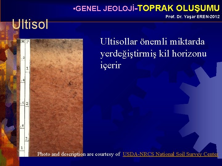  • GENEL JEOLOJİ-TOPRAK OLUŞUMU Ultisol Prof. Dr. Yaşar EREN-2012 Ultisollar önemli miktarda yerdeğiştirmiş