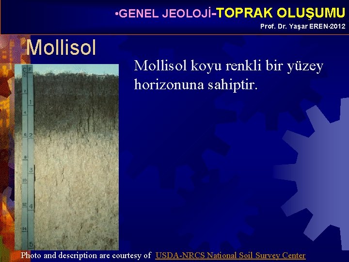  • GENEL JEOLOJİ-TOPRAK OLUŞUMU Prof. Dr. Yaşar EREN-2012 Mollisol koyu renkli bir yüzey