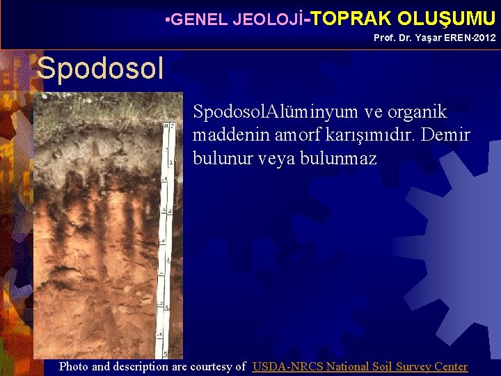  • GENEL JEOLOJİ-TOPRAK OLUŞUMU Prof. Dr. Yaşar EREN-2012 Spodosol. Alüminyum ve organik maddenin