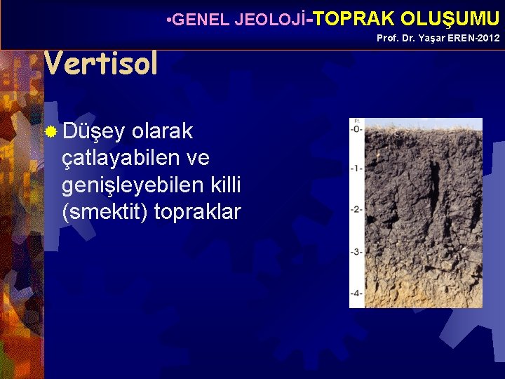  • GENEL JEOLOJİ-TOPRAK OLUŞUMU Vertisol ® Düşey olarak çatlayabilen ve genişleyebilen killi (smektit)