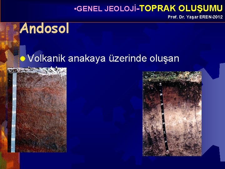  • GENEL JEOLOJİ-TOPRAK OLUŞUMU Andosol ® Volkanik topraklar Prof. Dr. Yaşar EREN-2012 anakaya