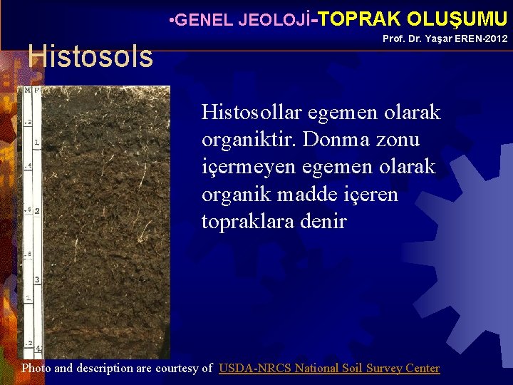  • GENEL JEOLOJİ-TOPRAK OLUŞUMU Histosols Prof. Dr. Yaşar EREN-2012 Histosollar egemen olarak organiktir.