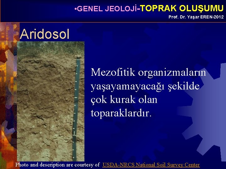  • GENEL JEOLOJİ-TOPRAK OLUŞUMU Prof. Dr. Yaşar EREN-2012 Aridosol Mezofitik organizmaların yaşayamayacağı şekilde