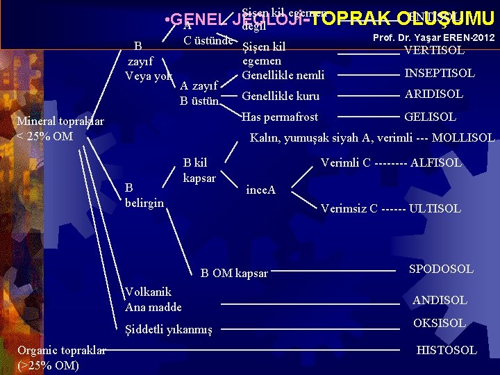 Mineral topraklar < 25% OM Şişen kil egemen ENTISOL • GENEL JEOLOJİ -TOPRAK OLUŞUMU