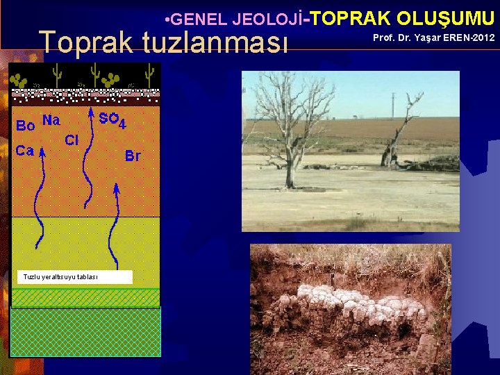  • GENEL JEOLOJİ-TOPRAK OLUŞUMU Toprak tuzlanması Tuzlu yeraltısuyu tablası Prof. Dr. Yaşar EREN-2012