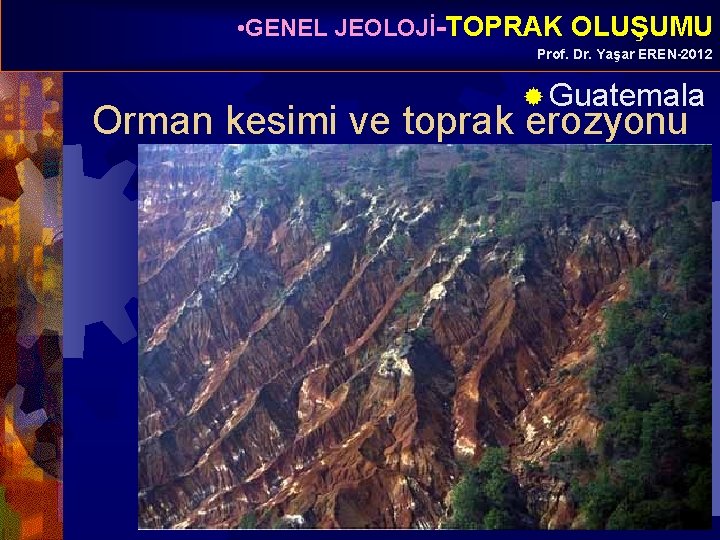  • GENEL JEOLOJİ-TOPRAK OLUŞUMU Prof. Dr. Yaşar EREN-2012 ® Guatemala Orman kesimi ve