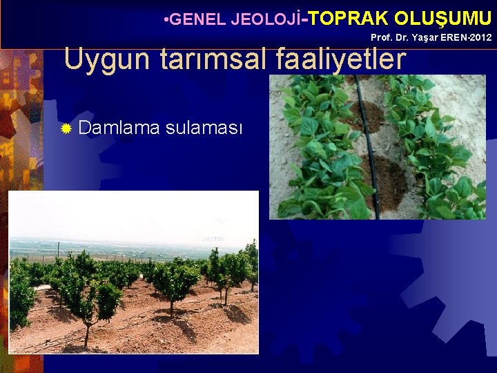  • GENEL JEOLOJİ-TOPRAK OLUŞUMU Prof. Dr. Yaşar EREN-2012 Uygun tarımsal faaliyetler ® Damlama