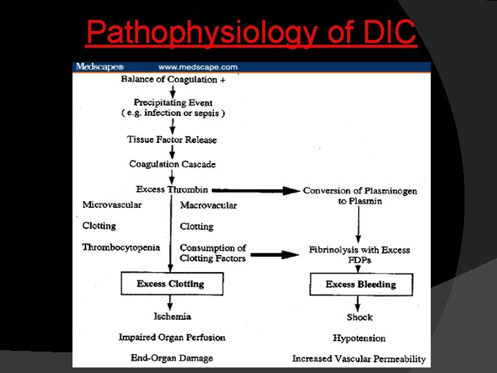 Pathophysiology of DIC 