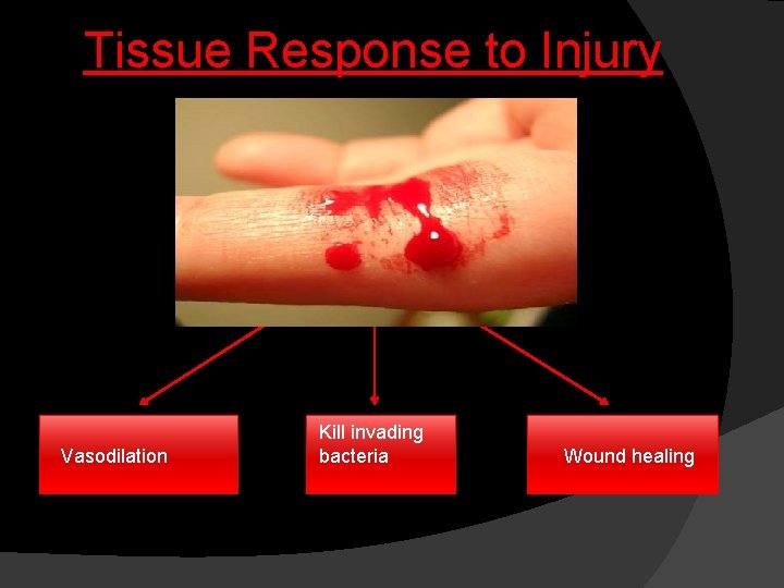 Tissue Response to Injury Vasodilation Kill invading bacteria Wound healing 