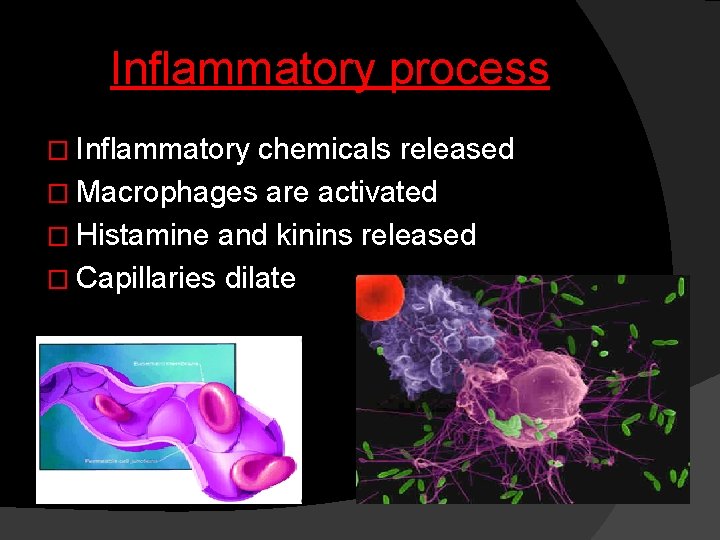 Inflammatory process � Inflammatory chemicals released � Macrophages are activated � Histamine and kinins