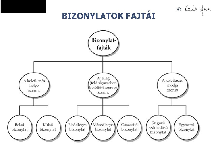 BIZONYLATOK FAJTÁI © 